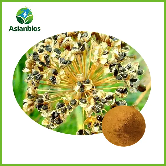 Leek Seed Extract